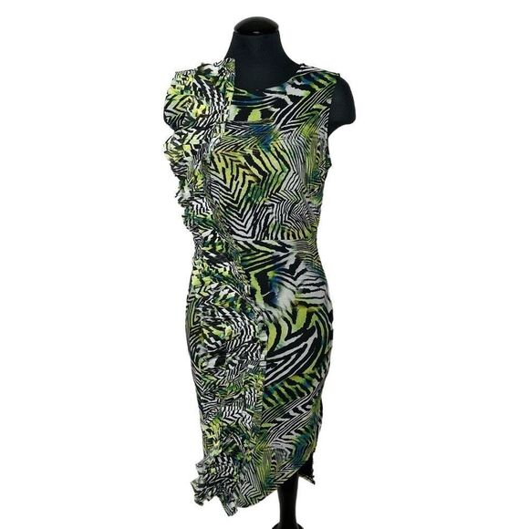 CQ By CQ Tiger Stripe Mesh Mini Dress - Women’s S - Picture 1 of 9